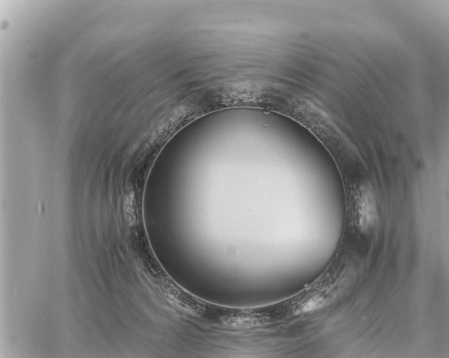 X0000060770224200511141305