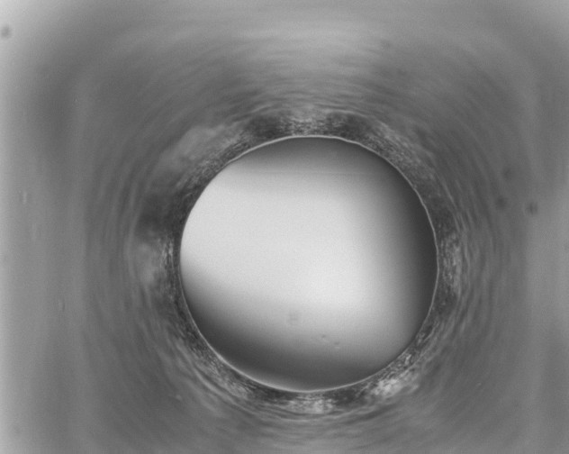 X0000060770225200511141305