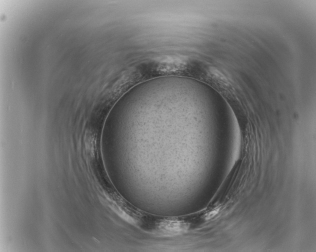 X0000060770227200511141305