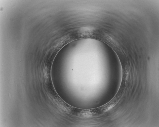 X0000060770228200511141305