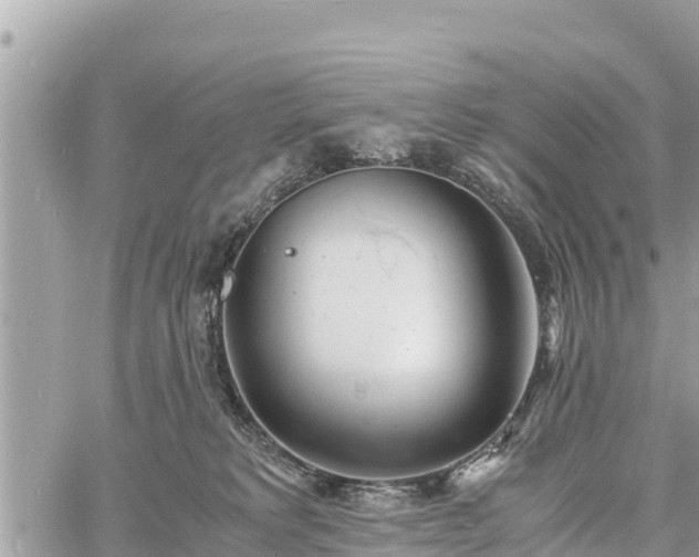 X0000060770229200511141305