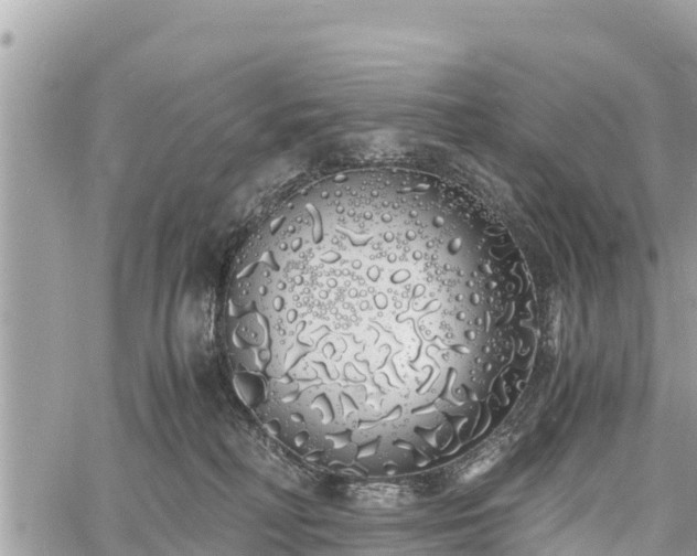 X0000060770230200511141305