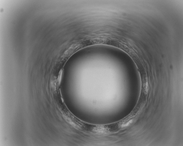 X0000060770231200511141305