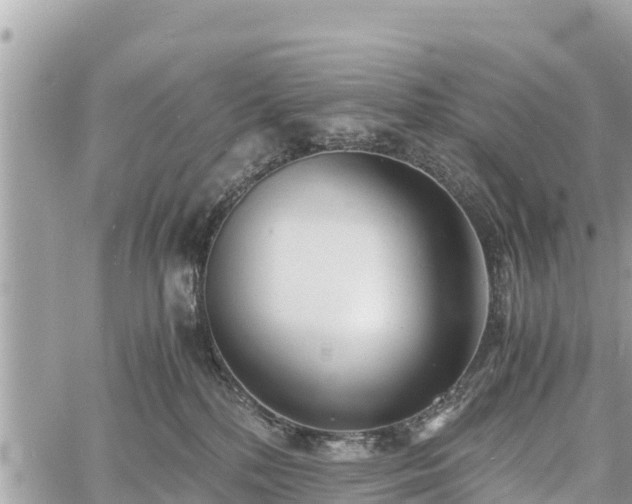 X0000060770232200511141305