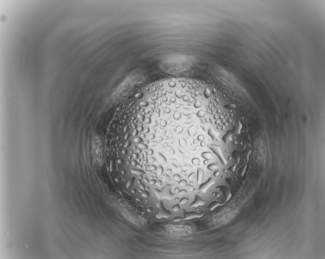 X0000060770234200511141305