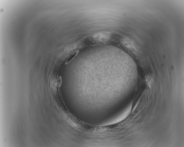 X0000060770235200511141305