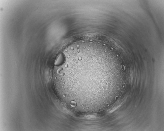 X0000060770236200511141305