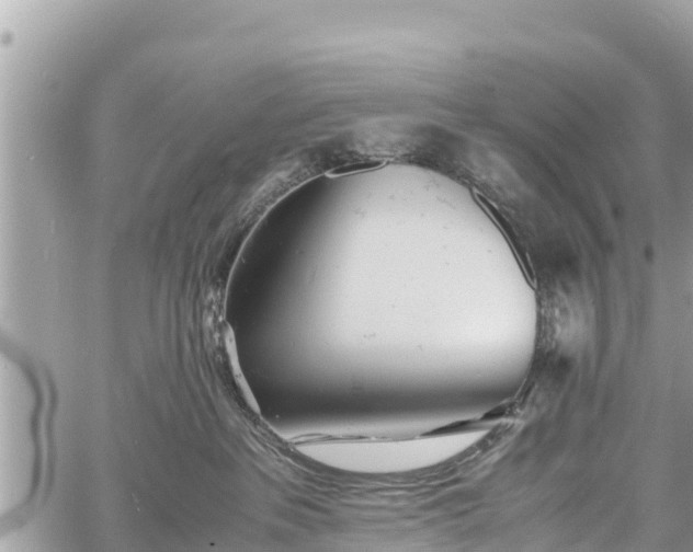 X0000060770237200511141305