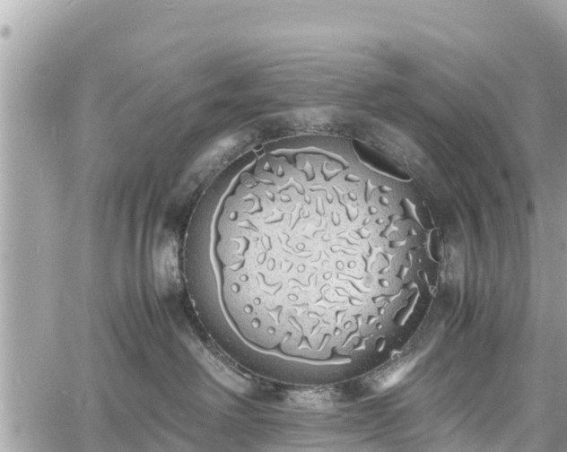 X0000060770238200511141305