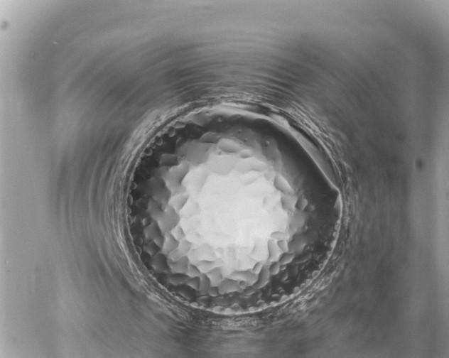 X0000060770241200511141304