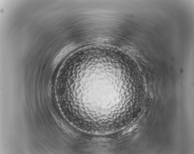 X0000060770242200511141304