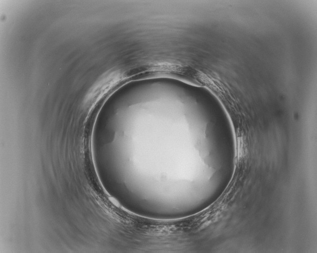 X0000060770243200511141304