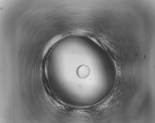 X0000060770244200511141304