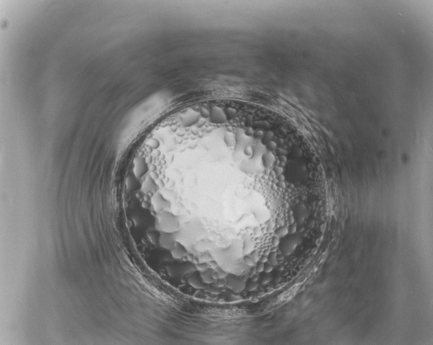 X0000060770245200511141304