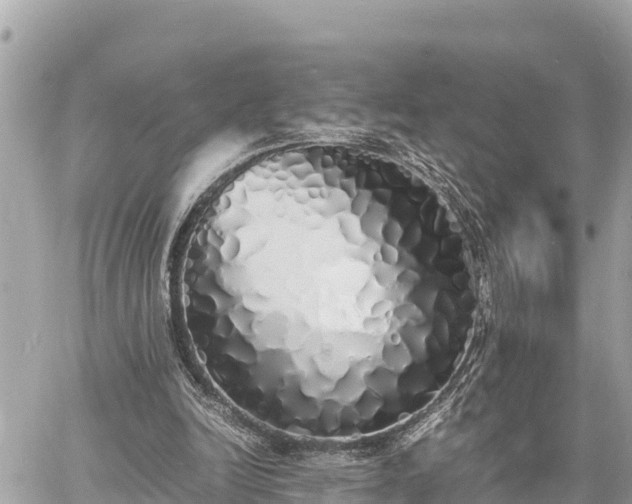 X0000060770246200511141304