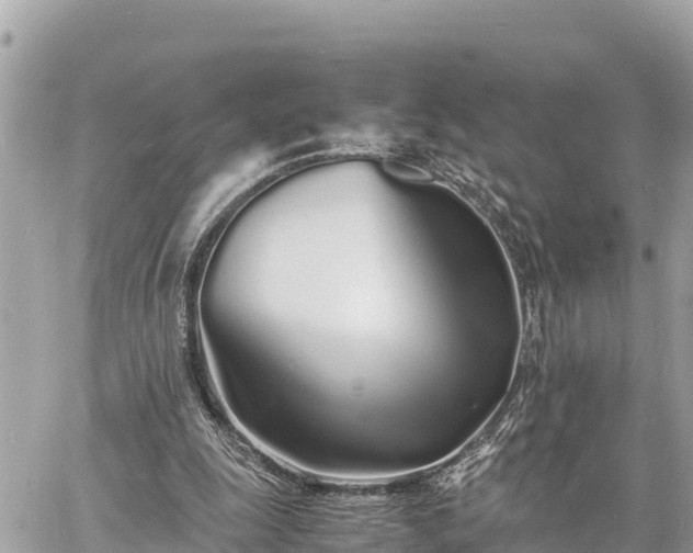 X0000060770247200511141305