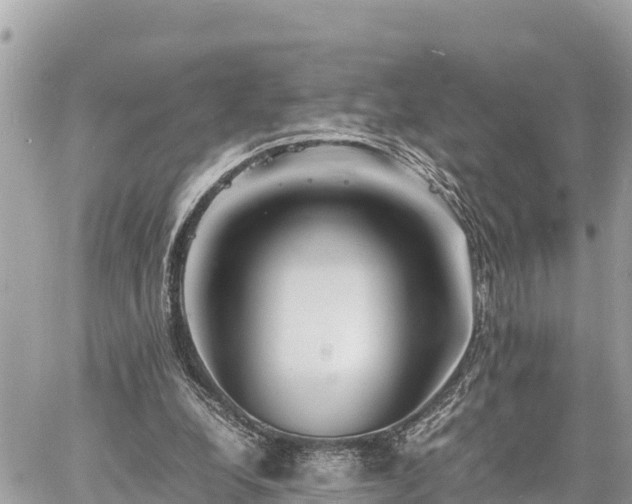 X0000060770248200511141305