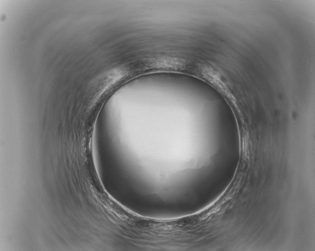 X0000060770249200511141305