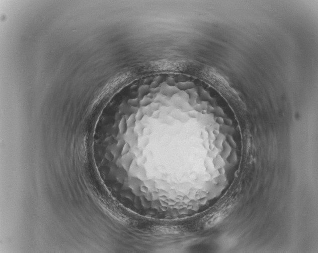 X0000060770250200511141305