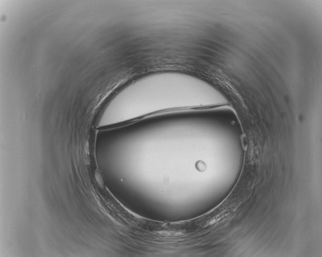 X0000060770251200511141305