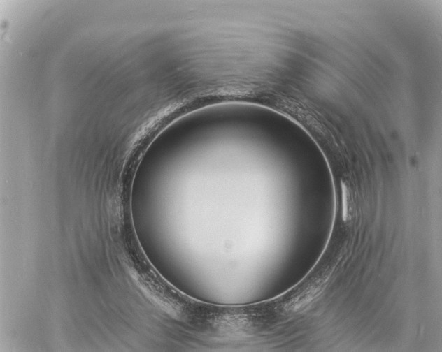 X0000060770252200511141305