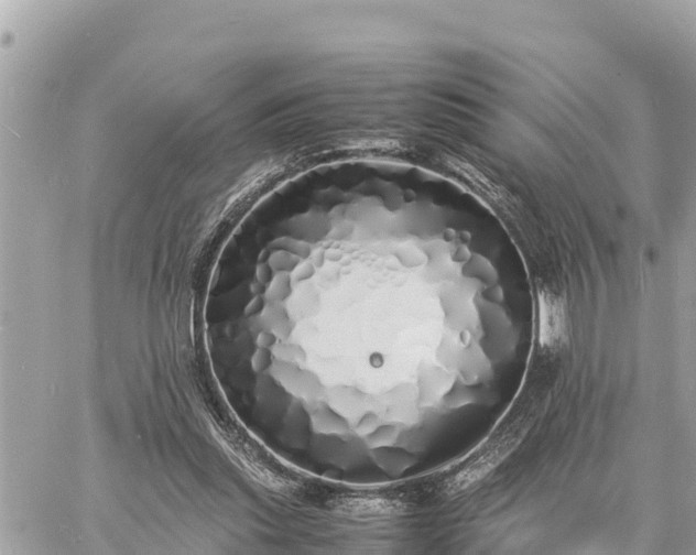 X0000060770253200511141305