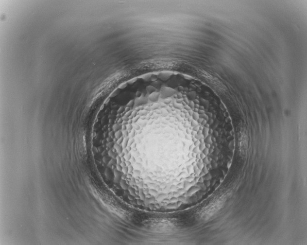 X0000060770254200511141305