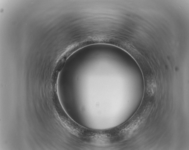 X0000060770256200511141305