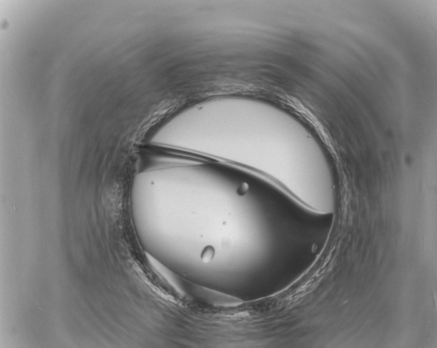 X0000060770257200511141305