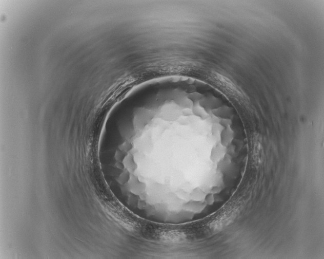 X0000060770258200511141305