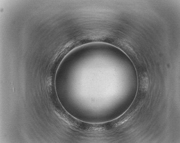 X0000060770260200511141305