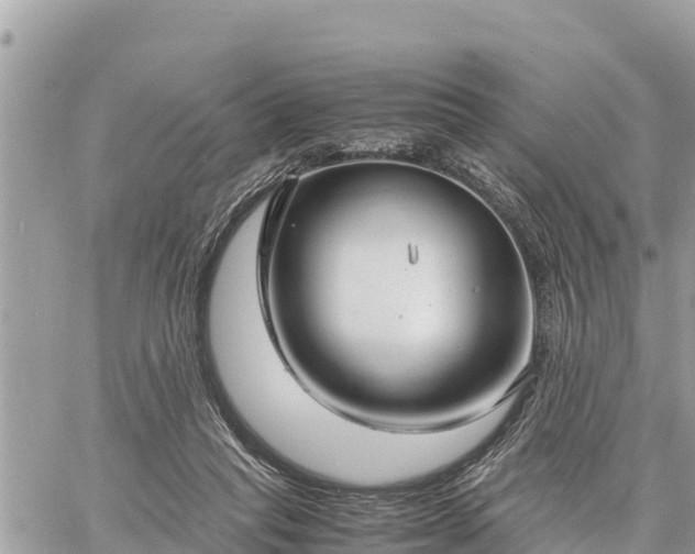 X0000060770261200511141305