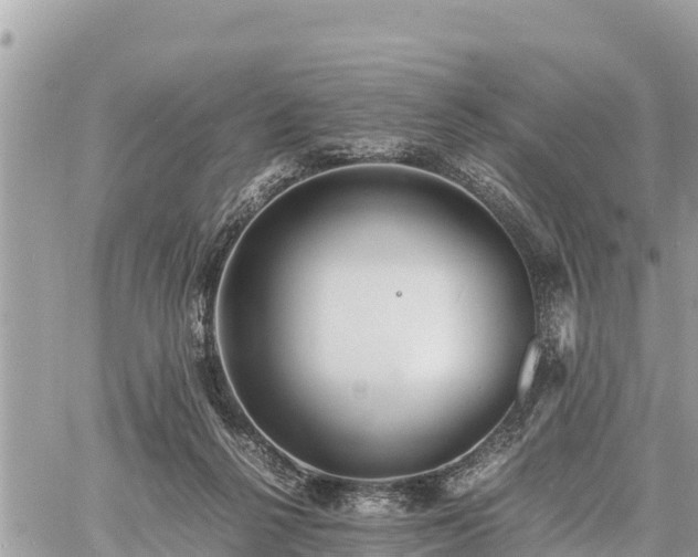 X0000060770264200511141305