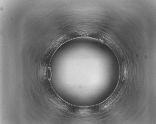 X0000060770268200511141305