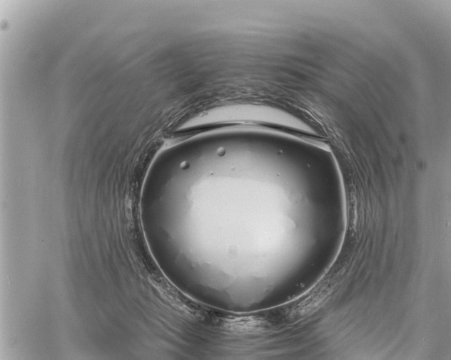 X0000060770269200511141305