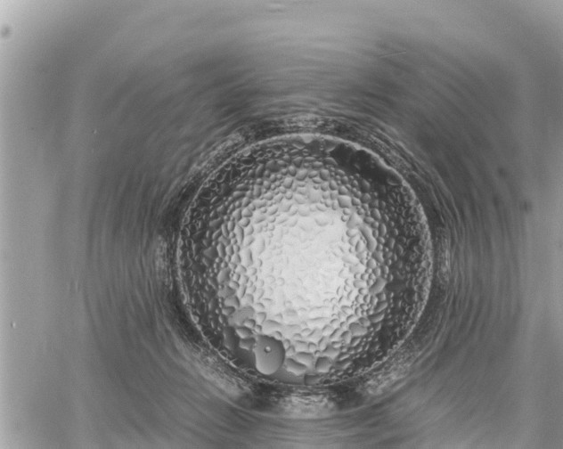 X0000060770270200511141305