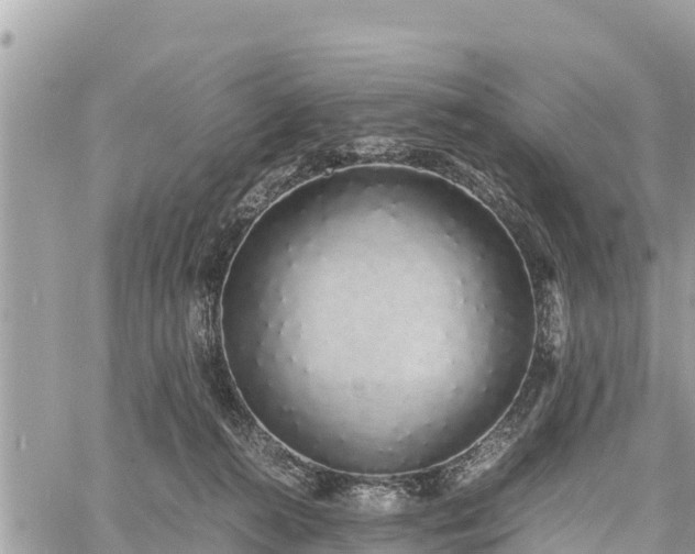 X0000060770272200511141305