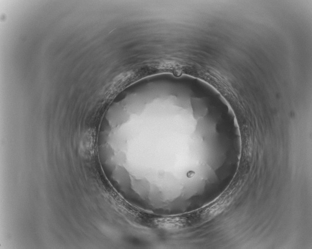 X0000060770273200511141305