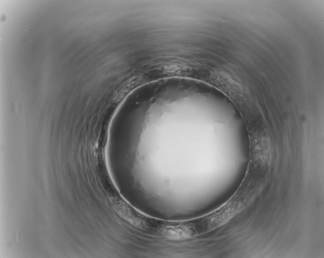 X0000060770275200511141305