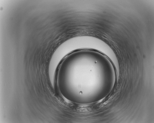 X0000060770277200511141305