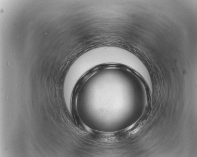 X0000060770278200511141305