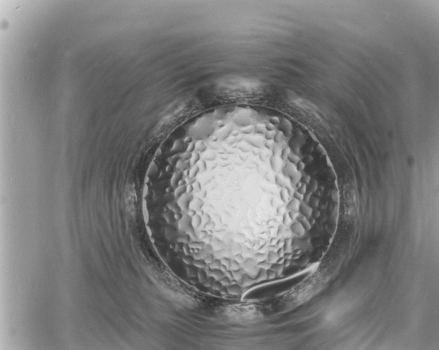 X0000060770279200511141305