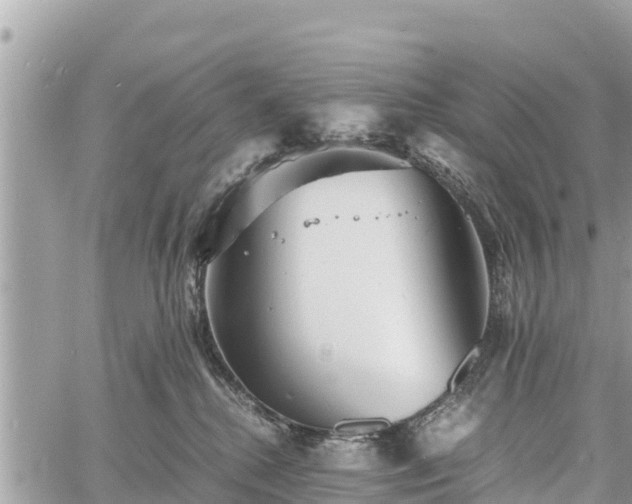 X0000060770280200511141305