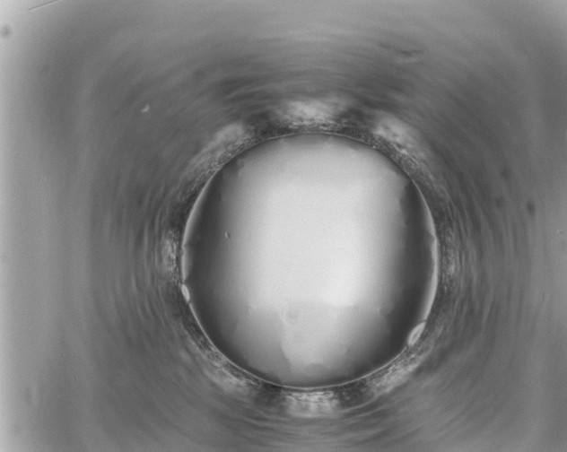 X0000060770281200511141305