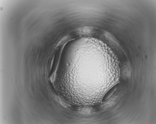 X0000060770282200511141305