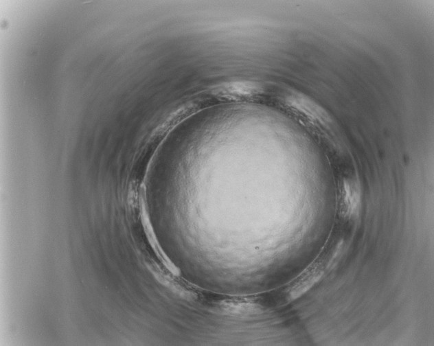 X0000060770284200511141305