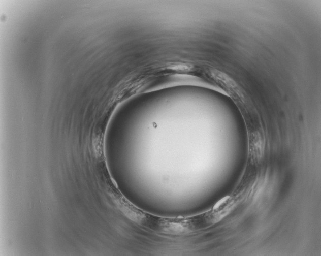 X0000060770285200511141305