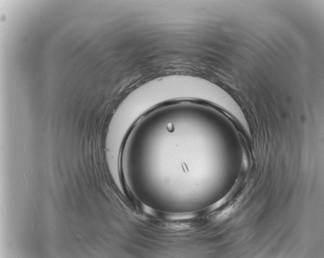 X0000060770287200511141305