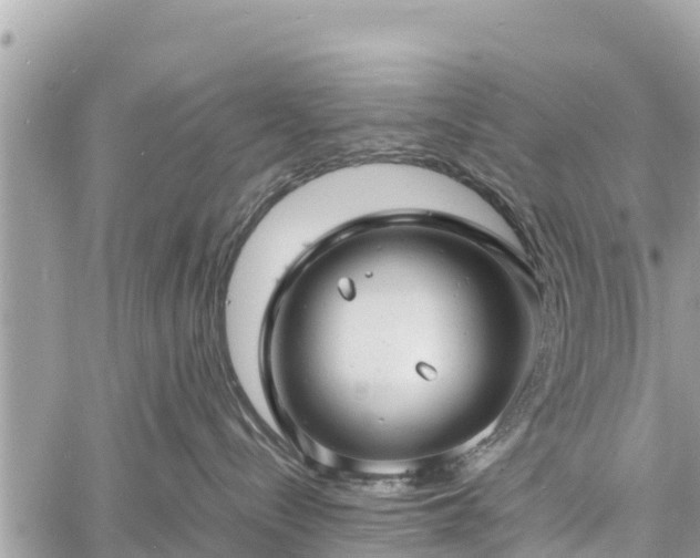 X0000060770288200511141305