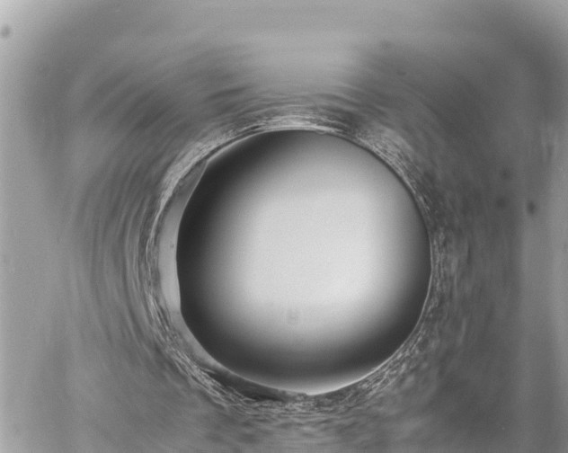 X0000060770289200511141304